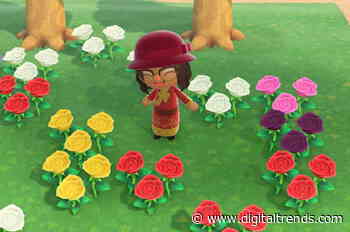 How to crossbreed flowers in Animal Crossing: New Horizons