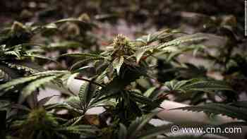 Marijuana abuse by youth with mood disorders linked to suicide attempts, self-harm and death, study finds