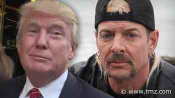 Joe Exotic 'Disappointed' to Not Get Long-Awaited Pardon from President Trump