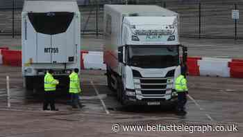 Hauliers ‘need financial aid for Irish Sea border’