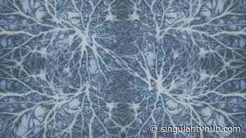 How Mirroring the Architecture of the Human Brain Is Speeding Up AI Learning - Singularity Hub