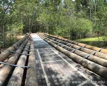 MSU School of Architecture recognized by American Institute of Architects' Mississippi Chapter - Mississippi State Newsroom