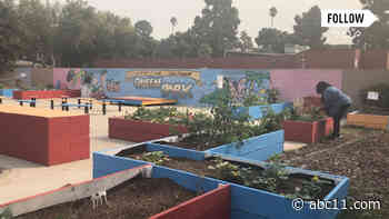 Gardens project in Inglewood helps promote healthy eating!