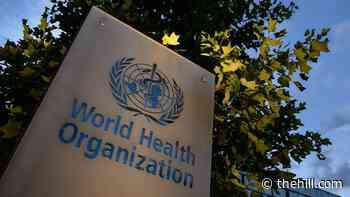 Biden moves to halt US exodus from World Health Organization