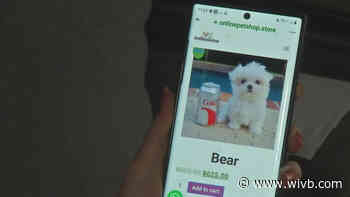 NY State police warn New Yorkers of internet pet scams