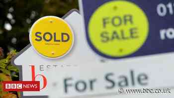 Covid: House hunters travelling 'hundreds of miles' to view homes
