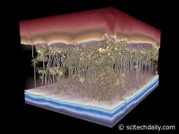 Controlling the Nanoscale Structure of Desalination Membranes Is Key for Clean Water