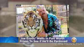 'Joe Exotic' Waiting In Fort Worth Prison To See If He'll Be Pardoned - CBS Dallas / Fort Worth