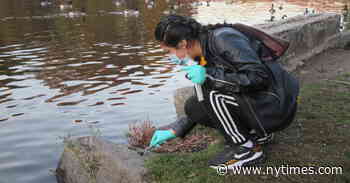 Amid One Pandemic, Students Train for the Next