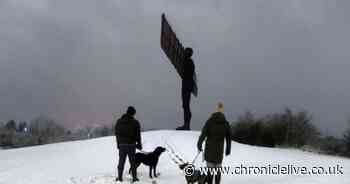 See stunning pictures as snow blankets the North East