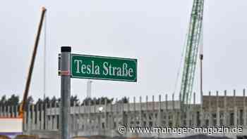 Teslas Batteriefabrik in Grünheide rückt ein Stück näher