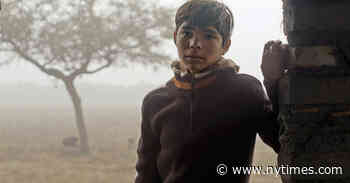 ‘Identifying Features’ Review: Lost in Migration
