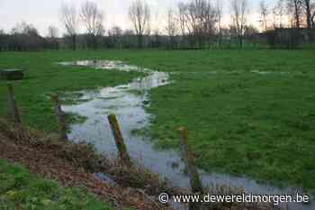 Bezwaarschrift Project Site Patrijzenhoek Zedelgem - DeWereldMorgen.be