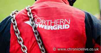 More than 800 North East properties hit by power cuts