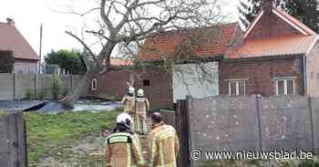 Beperkte schade nadat boom op huis waait