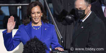 Black and South Asian Americans celebrate 'My Vice President' on social media