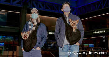 Moynihan Train Hall Becomes a Destination For New Yorkers