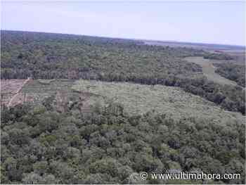 Jueza admite diligencia iniciada por campesinos contra la Reserva Morombi - ÚltimaHora.com