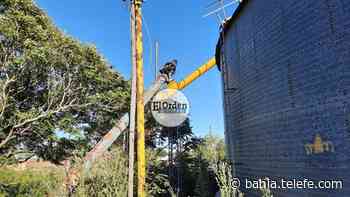 Cuantioso robo en una planta cerealera de Coronel Pringles - Telefe Bahia Blanca