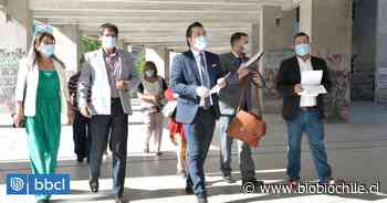 Vecinos de Coronel interponen recurso de protección contra Entel por instalación de antena - BioBioChile