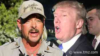 Joe Exotic Claims He Was 'Too Gay' to Get Pardoned, Rips Trump