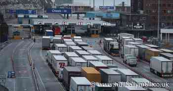 Nearly 200 UK lorries blocked from entering EU 'every day'