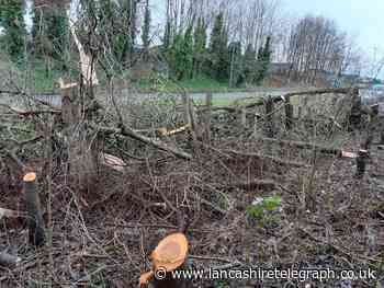 Ban on man felling Great Harwood trees upheld in court