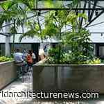 G8A’s Jungle Station in Vietnam’s Ho Chi Minh City