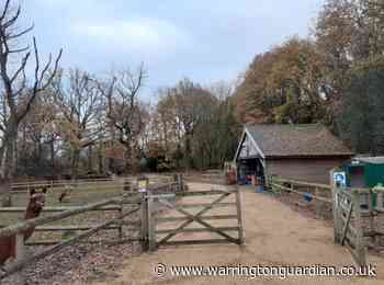 Proposals for mobile home on alpaca farm rejected