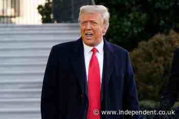 Revenue at Trump hotels, resorts hit hard by pandemic