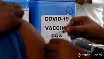 Biden COVID-19 czar calls Trump vaccine planning 'so much worse than we could have imagined'