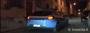 Cani antidroga scovano “erba” nascosta dentro un contatore del gas - Live Sicilia