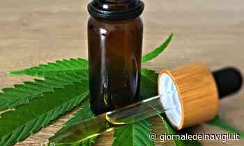 Lombardia rossa? Molti sono passati al verde; l'erba legale Justmary.fun consegnata con un click a casa - Giornale dei Navigli