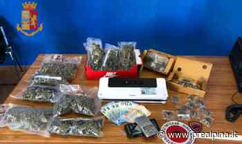 Pusher 19enne con un chilo di erba - La Prealpina