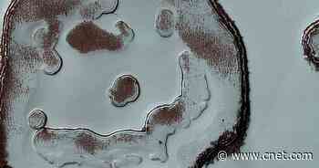 NASA spots frosty changes in grinning Mars 'Happy Face Crater'     - CNET