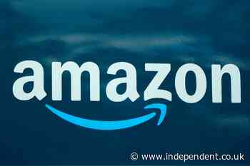 Judge says Amazon won't have to restore Parler web service