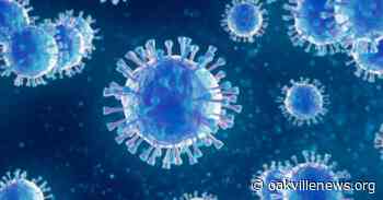 January 21st coronavirus update for Oakville - Oakville News