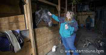 Judge rejects plea to return horses to Sleepy Eye trainer