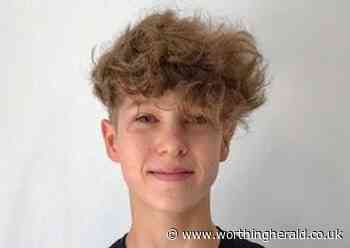 Lions’ south east district backs 16-year-old entrepreneur for national Young Ambassadors competition - Worthing Herald