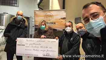 Solidarietà in vigna: il progetto della Provima di Matelica si conclude con un'importante donazione - Vivere Camerino