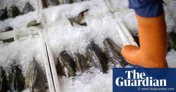 Only a third of UK’s key fish populations are not overfished