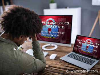 Hackers publish thousands of files after government agency refuses to pay ransom