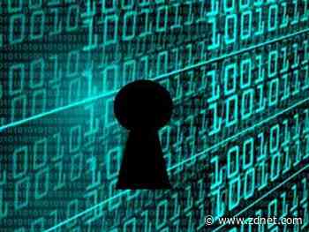 New website launched to document vulnerabilities in malware strains