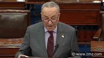 Chuck Schumer Tells Senate Trump Incited the 'Erection'