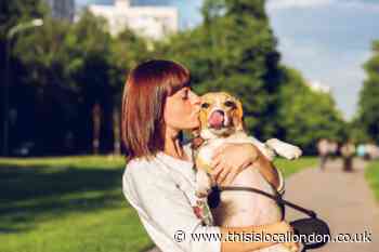 Wandsworth's new community group to help prevent dog thefts