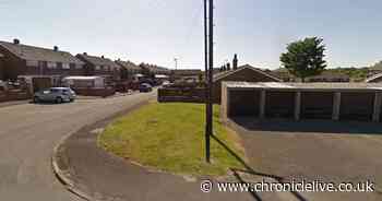 Gentoo has second homes bid rejected over green space fears