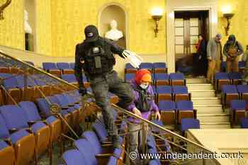 Zip tie rioter stashed weapons outside the Capitol and had arsenal at home