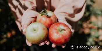 Teaching food sustainability in schools can lead to long-term benefits for all - Independent Education Today