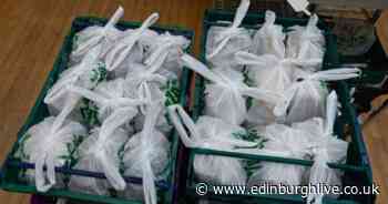 Edinburgh food bank shares heart-wrenching photo after serving 1,123 residents - Edinburgh Live