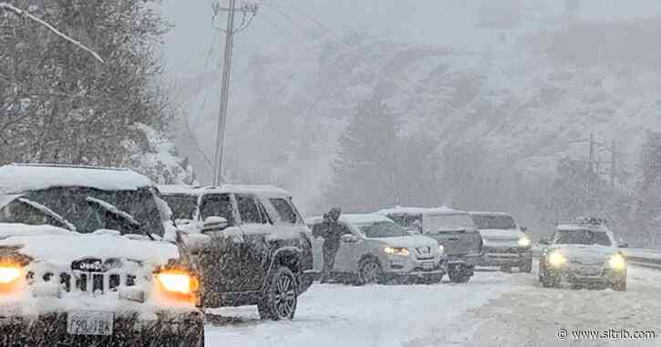 Samantha Smith: Ban private cars in Little Cottonwood Canyon